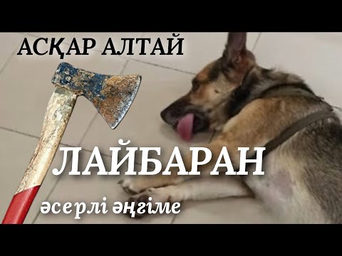 Видео: ЛАЙБАРАН. аудио кітап. аудио әңгіме. әсерлі әңгіме