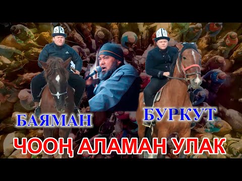 Видео: ЧООН АЛАМАН  УЛАК  / КАДАМЖАЙ РАЙ. КОК-ТАЛАА АЙЫЛЫ / БУРКУТ &  БАЯМАН