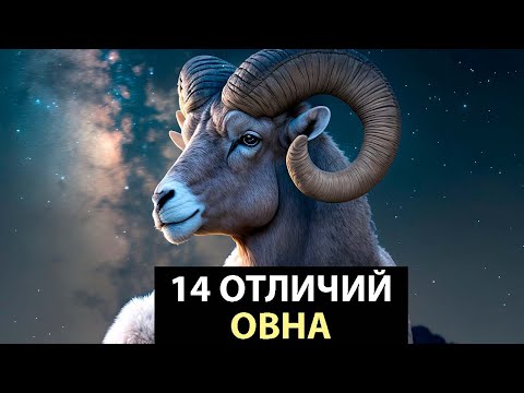 Видео: 14 Отличий ОВНА от других знаков.
