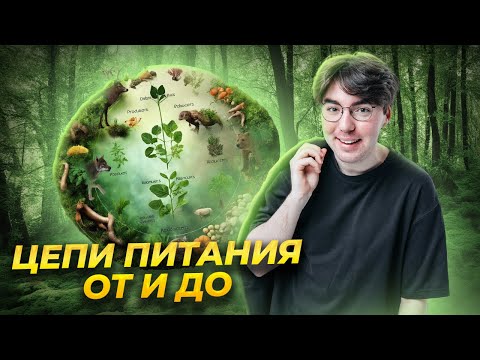 Видео: Продуценты, консументы, редуценты | 19 задание| Биология ОГЭ 2025 Умскул