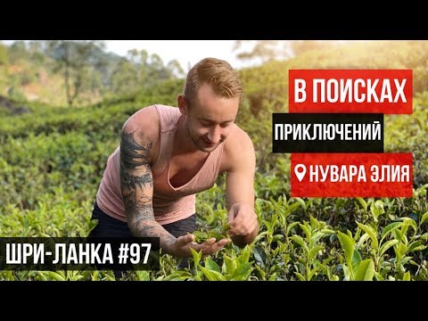 Видео: Шри-Ланка / Мы пьём грязный чай? Чайная фабрика / Жуткая ПИЦЦА !! Как они это едят? Нувара Элия