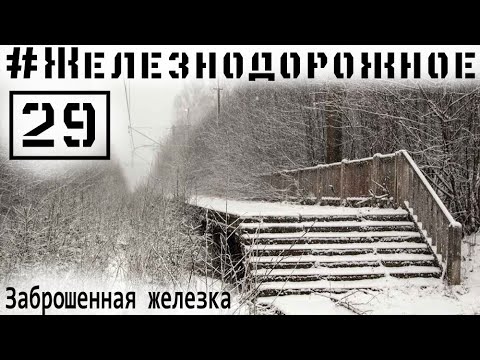 Видео: Заброшенная железная дорога под Петербургом. Сталк.  Железнодорожное - 29 серия. Краснофлотск