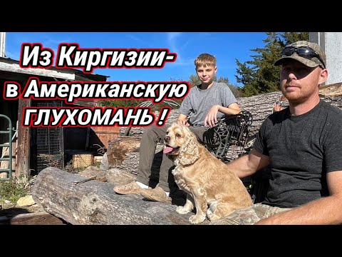 Видео: Выживание в американской глуши ! Дрова,охота и Куда мы Попали ? 