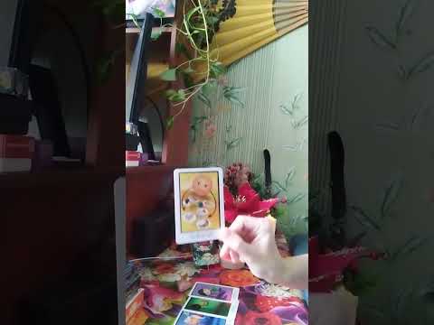 Видео: Вы добились успеха 👑🏆✨🥇Что  об этом скажут родственники?🗣️ 👥