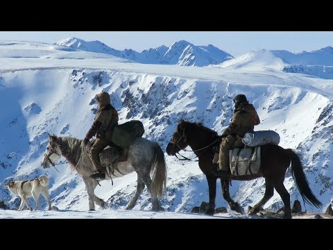 Видео: Зона покоя Укок. Снежный Барс. В горах Южного Алтая. Конная экспедиция в горы Сибири. Горный Алтай.