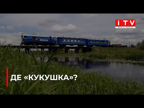 Видео: Поліська "кукушка" зникла: що сталося із вузькоколійкою на Рівненщині?