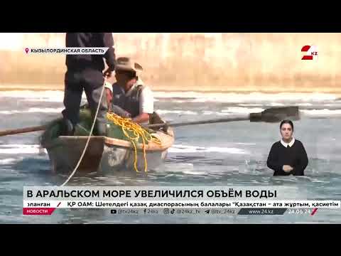 Видео: В Аральском море увеличивается объём воды