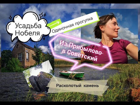 Видео: Одиночное путешествие от ст. Прибылово до пос. Советский. Ленинградская область, Выборгский район.