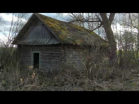Видео: Заброшенные деревни Беларуси | Застенки  /Часть 1
