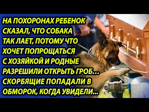 Видео: На глазах у скорбящих собака скулила и царапала гроб, все похолодели, когда открыли крышку, а там...