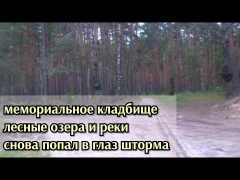 Видео: Лесной рай и полигон смерти/Снова попал в глаз шторма на том же месте/Походы 10 и 14 июля 2025 года