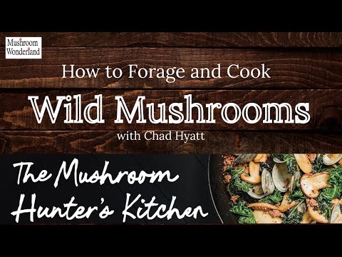 Видео: Сбор и приготовление диких грибов — Чад Хайатт посещает Грибную Страну Чудес