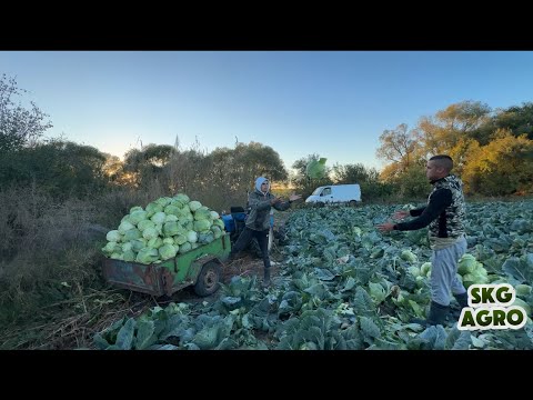 Видео: ДОВОЛНИ ЛИ СМЕ ???