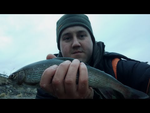 Видео: ВЕСЕННИЙ ХАРИУС 2022 ГОДА.