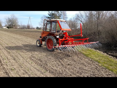 Видео: Бороную чеснок с переделаной штригельной бороной.