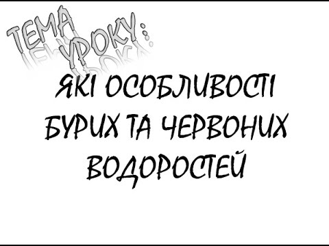 Видео: ЯКІ ОСОБЛИВОСТІ БУРИХ ТА ЧЕРВОНИХ ВОДОРОСТІВ
