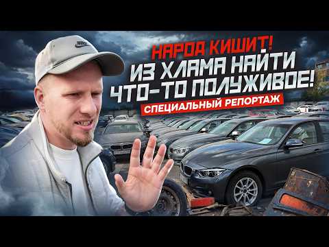 Видео: НАШЁЛ КЛАДБИЩЕ КАРШЕРИНГА В МОСКВЕ! НЕ В УТИЛЬ, А НА ПРОДАЖУ. СПЕЦИАЛЬНЫЙ РЕПОРТАЖ С МЕСТА СОБЫТИЙ.