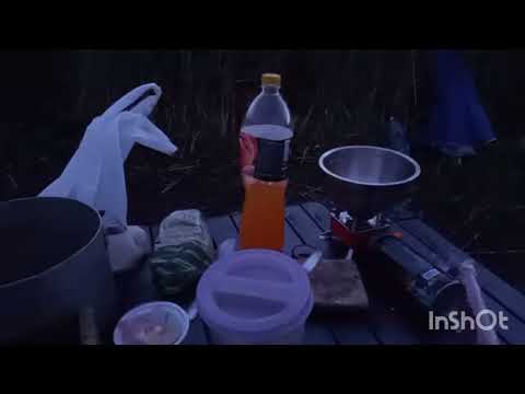 Видео: Такого клёва я даже не помню