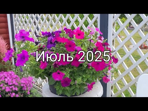 Видео: Дачи на севере Германии/Суббота и у нас работа 😀решила засеять грядку сидератами.
