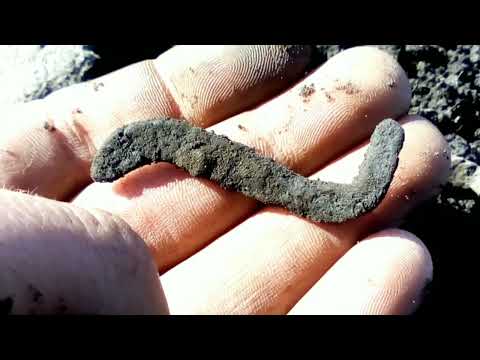 Видео: МОНЕТА,НАКІНЕЧНИКИ СТРІЛ,НОЖИКІ,БУБЕНЕЦЬ,ПОШУК НА ПОСЕЛЕННІ З МЕТАЛОШУКАЧЕМ