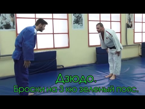 Видео: Сдача норматива на зеленый пояс Дзюдо. Passing the test for the green belt in Judo. #judo #дзюдо