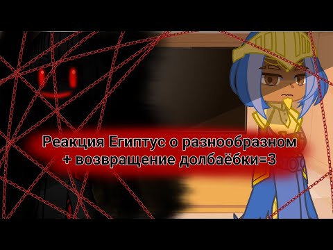 Видео: ♡{Реакция Египтус о разнообразном}♡{+возвращение долбаёбки=3}♡