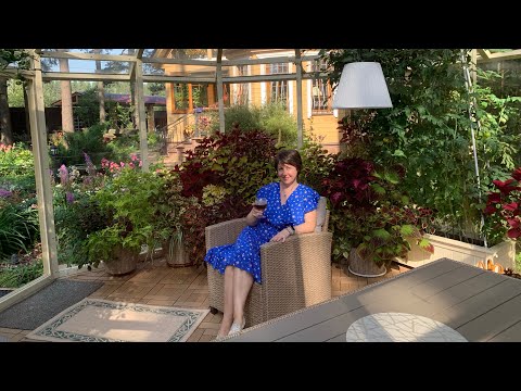 Видео: Мой тропический сад в Подмосковье. Колеус - звезда августа 🌸🌹