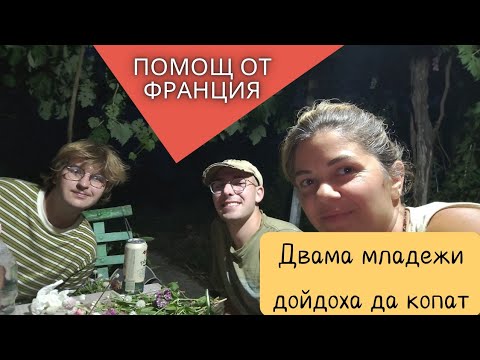 Видео: Помощ от Франция! Какво правят двама френски младежи у наше село? #животнасело