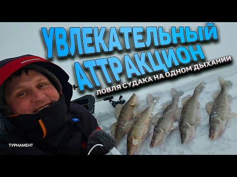 Видео: Ловля судака на одном дыхании. Судак на ратлины.