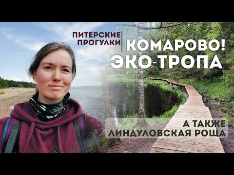 Видео: Эко-маршруты под Питером. Комарово! Линдуловская роща.