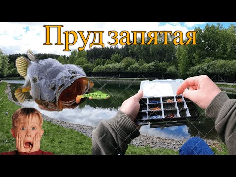 Видео: Мормышинг в Москве. Пруд Запятая на Ленинском проспекте