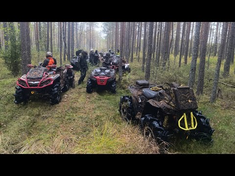 Видео: Рубилово по болоту на Cfmoto vs Brp, Polaris
