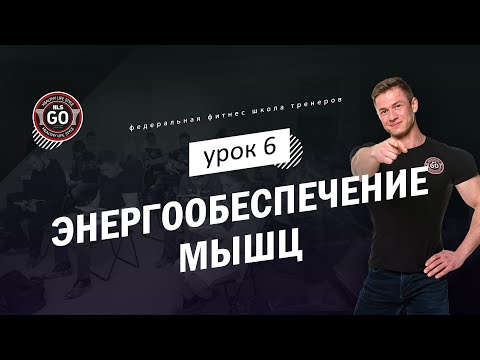 Видео: Энергообеспечение мышц - урок 6 (роль белков в энергообеспечение мышц)