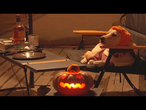 Видео: [Одиночный кемпинг] Наслаждайтесь счастливым Хэллоуином с собакой