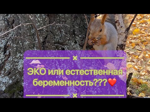 Видео: Длинный VLOG: про наш путь❤️