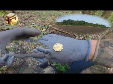 Видео: МОНЕТЫ почти на каждом шагу А лес уже хоженый