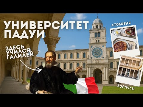 Видео: УНИВЕРСИТЕТ ПАДУИ: столовая, корпуса изнутри, интервью студентов! Старейший университет Италии