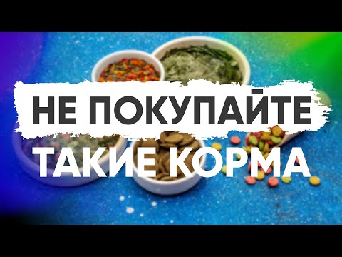 Видео: Не покупайте такие корма для рыб. Корма на развес