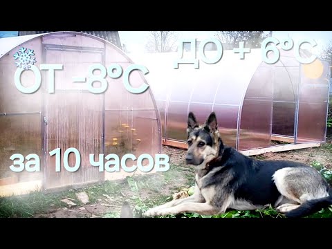 Видео: Ночные заморозки/Новая теплица/Тёплый денёчек/ОДНА В ДЕРЕВНЕ👱🏼‍♀️