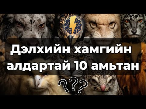 Видео: Дэлхийн хамгийн алдартай 10 амьтан