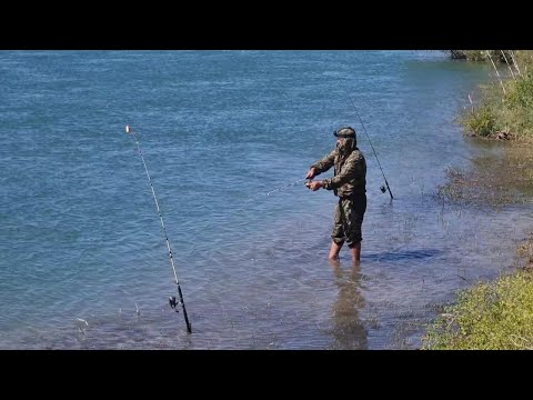 Видео: Супер Рыбалка на РЕКЕ Или, САЗАН, СНАСТИ, ЛОДКА