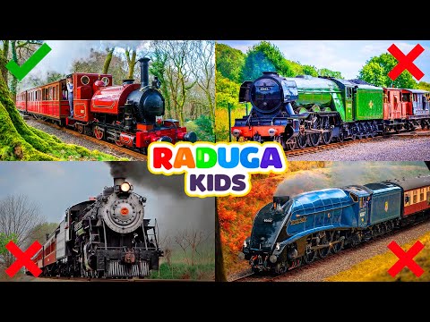 Видео: Паровозы для детей! Учим цвета. Супер викторина!
