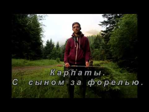 Видео: Ловля дикой форели. Рыбалка с сыном. Карпаты.