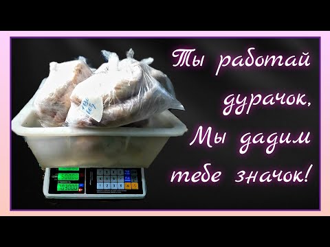 Видео: Сколько ПРИБЫЛИ приносят суповые петухи? / Гуси в 8 месяцев - НЕ НАБРАЛИ / Жизнь в деревне зимой