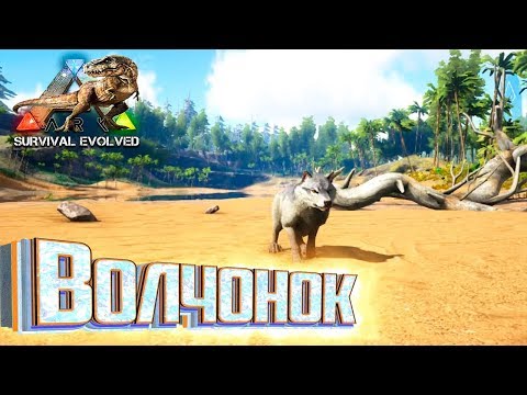 Видео: Путь от Волчонка до Волка!