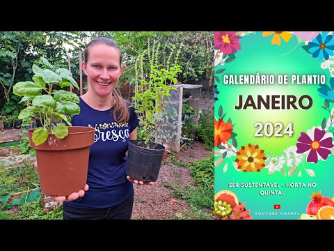 Видео: Что посадить в ЯНВАРЕ 2024 ГОДА?📅 Календарь посадок🌱 Сад на заднем дворе 💚