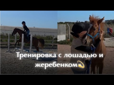 Видео: Мой день с лошадьми: прыжки на Эстель и игры с Тайрой 💫