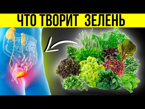 Видео: Польза зелени для организма. Почему нужно есть ЗЕЛЕНЬ каждый день? | Смотри и Знай