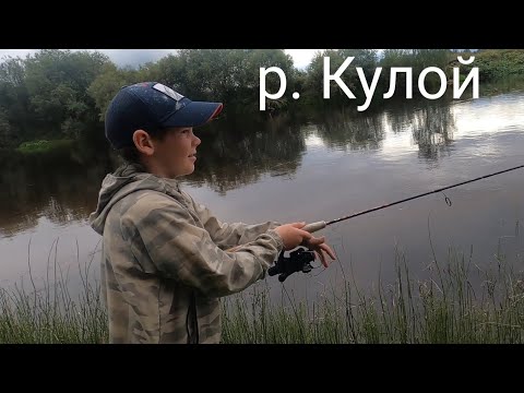 Видео: На реке Кулой,осваиваем новые речки Архангельской области