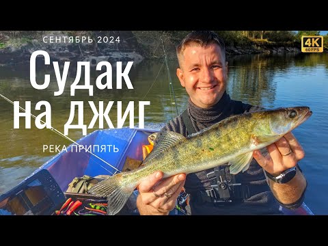 Видео: Ловля судака на реке Припять | 4 дня рыбалки и отдыха